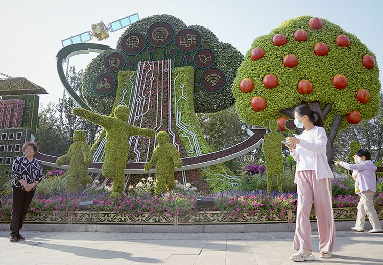 图片6.png 图片6.png