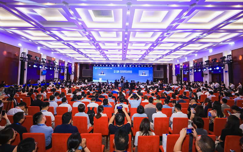 新京报 内容 800 .png