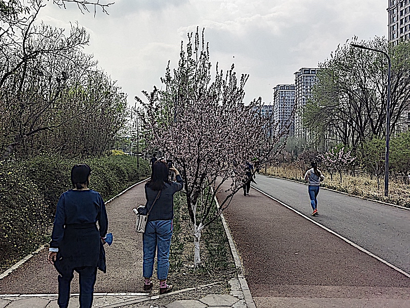 WechatIMG1099.jpeg WechatIMG1099.jpeg