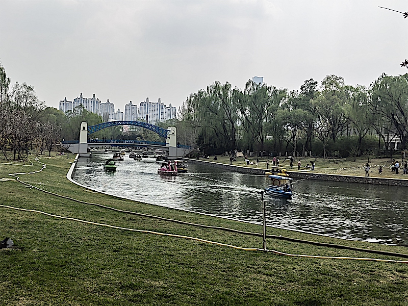 WechatIMG1101.jpeg WechatIMG1101.jpeg