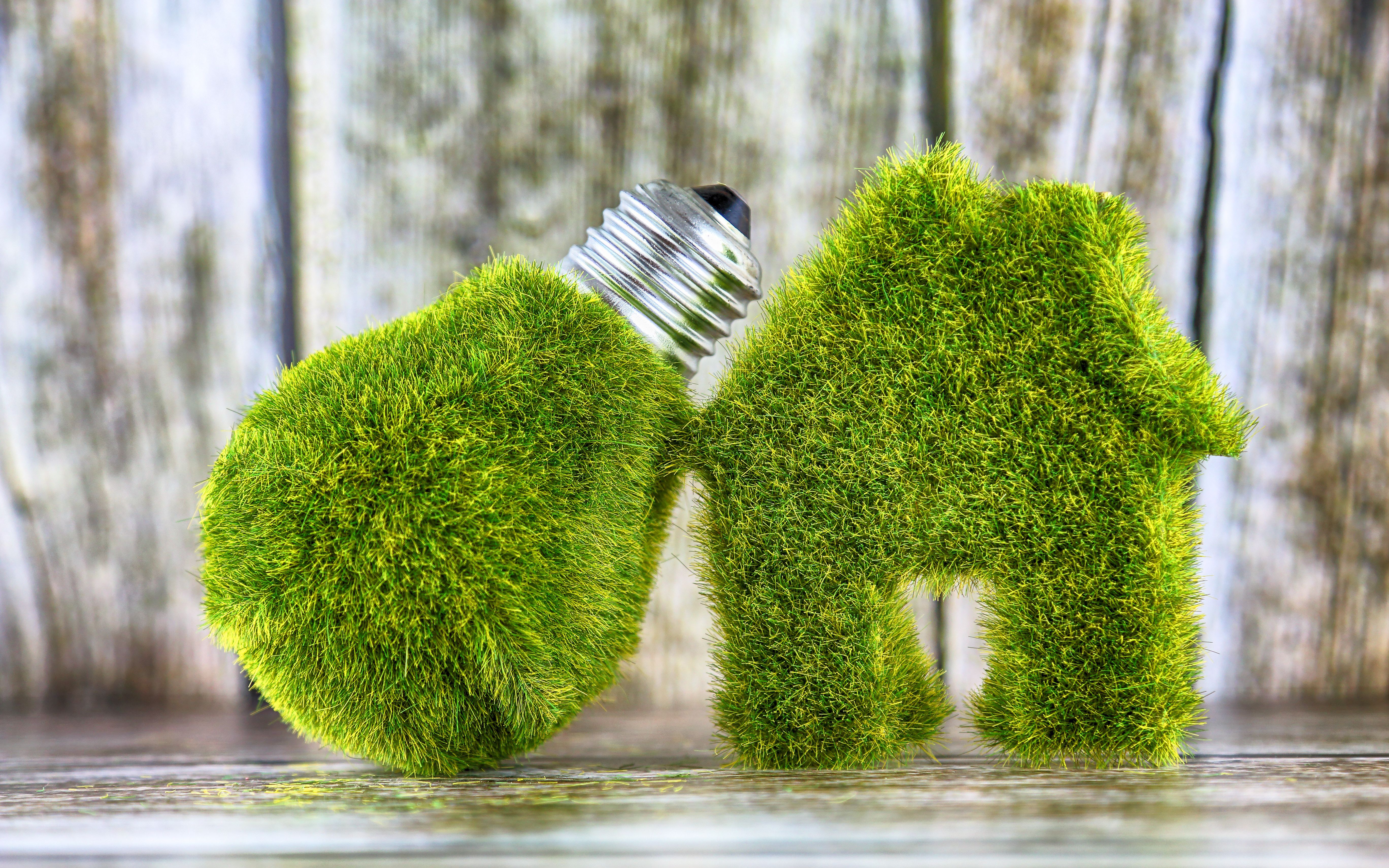 碳达峰.jpeg 碳达峰.jpeg