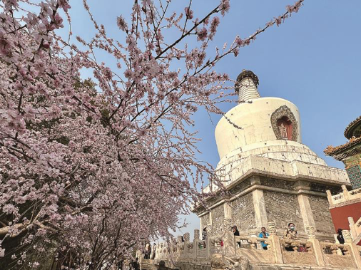 图片 1.png 图片 1.png