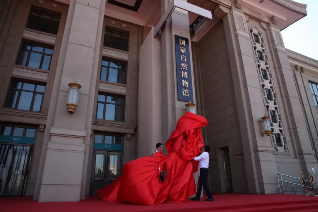 北京日报-国家自然博物馆.jpg