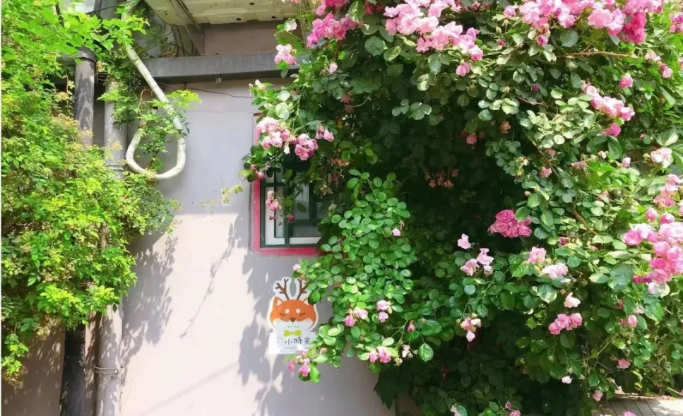 806FFB73-4074-421B-80C6-7F4009AF355B.png 806FFB73-4074-421B-80C6-7F4009AF355B.png