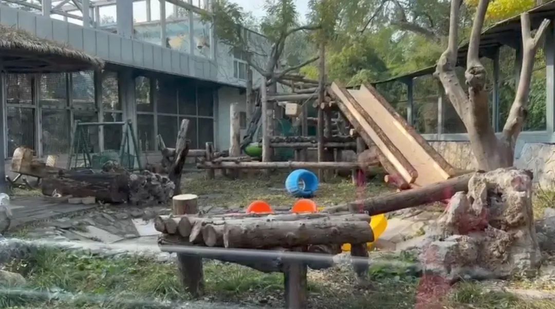 萌兰.jpg 萌兰.jpg