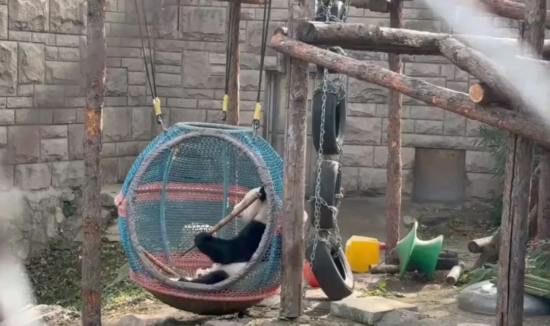 萌兰2.jpg 萌兰2.jpg