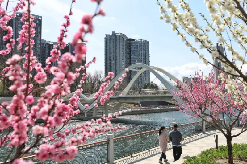 图片 1.png 图片 1.png