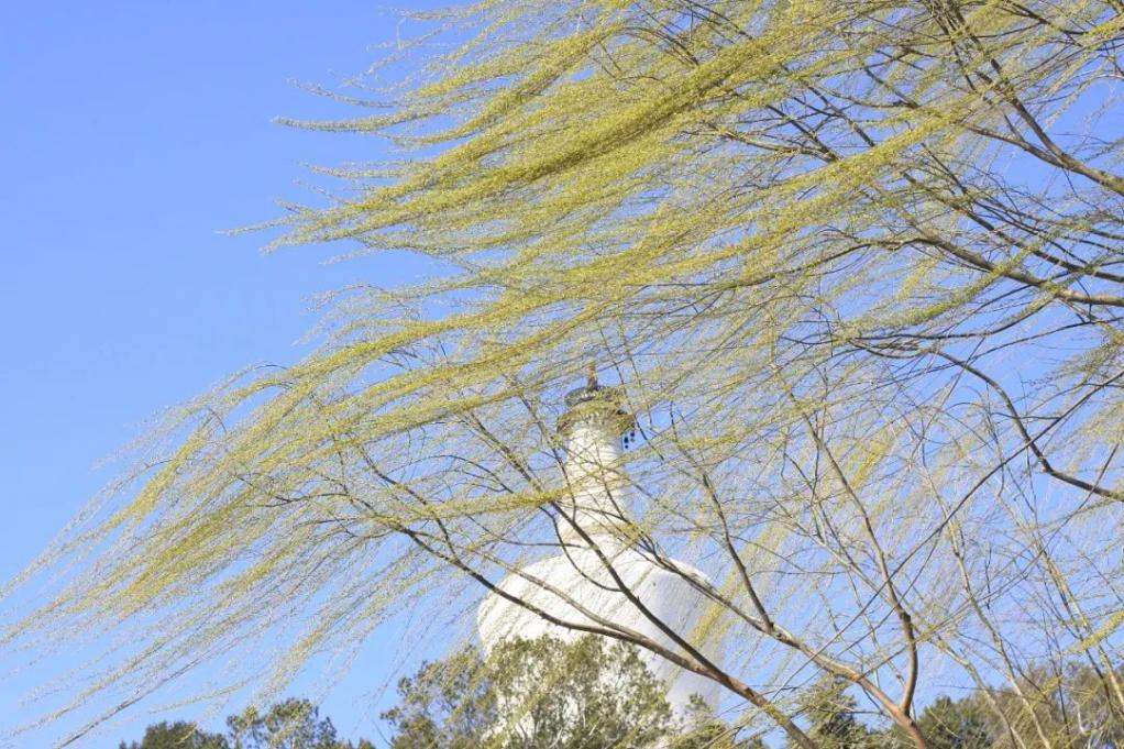 图片9.png 图片9.png