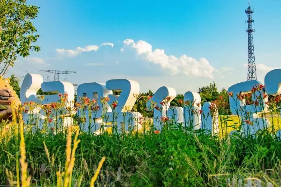 图片3.png 图片3.png