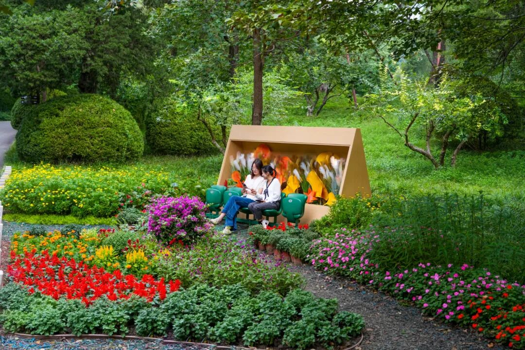 图片 1.png 图片 1.png