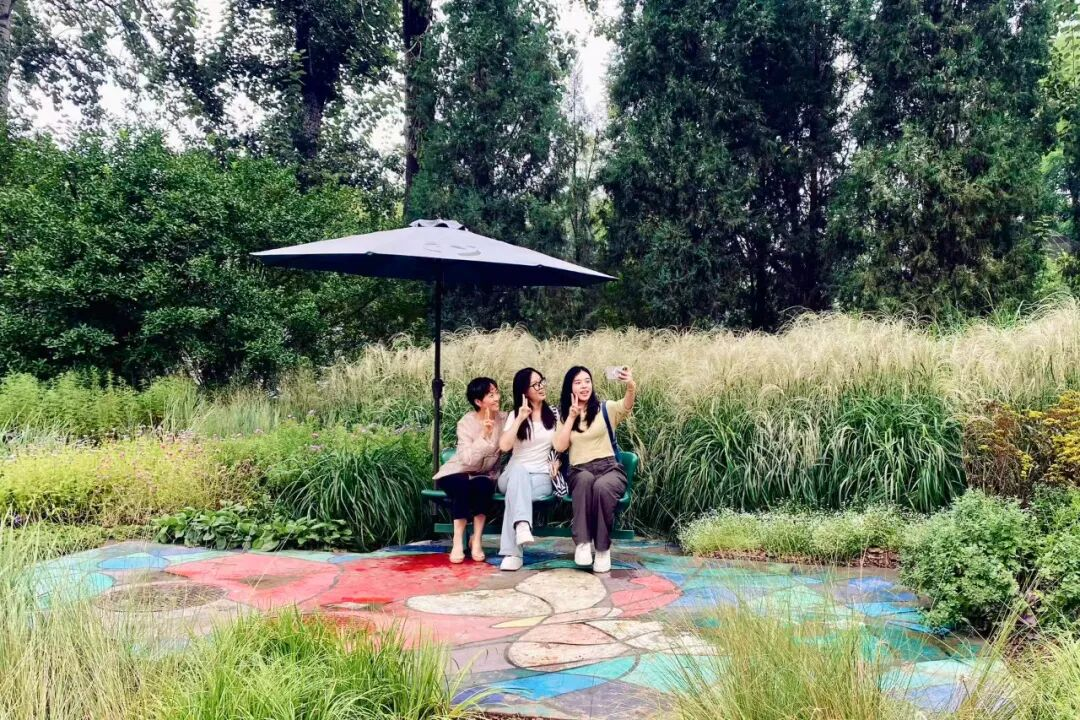 图片 2.png 图片 2.png