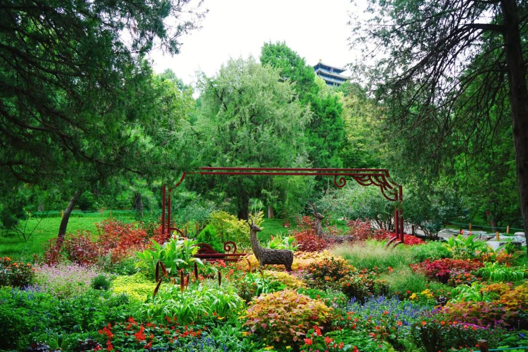 read_image.png read_image.png