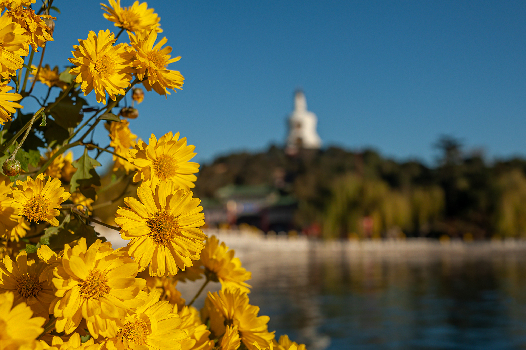 北海公园.jpg 北海公园.jpg