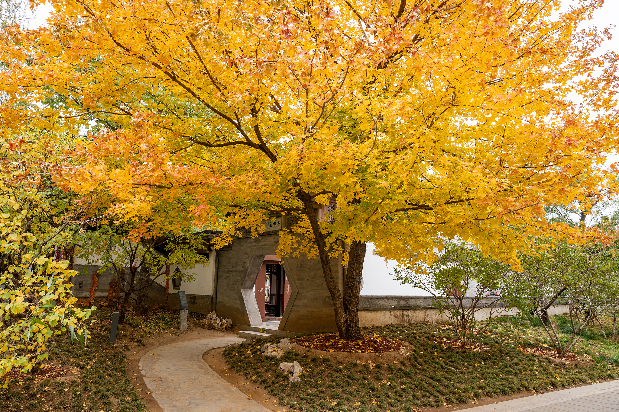 VCG211408215077.jpg VCG211408215077.jpg