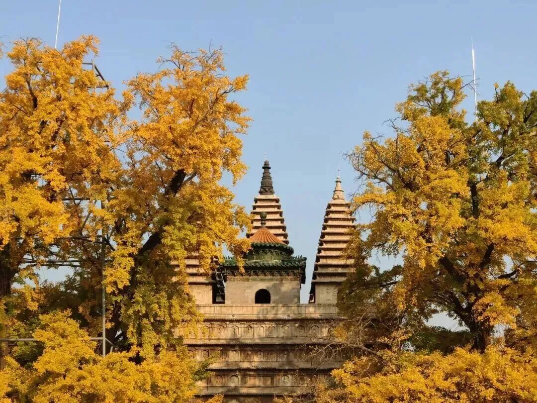 Beijing Stone Carving Art Museum (Wuta Temple).jpg