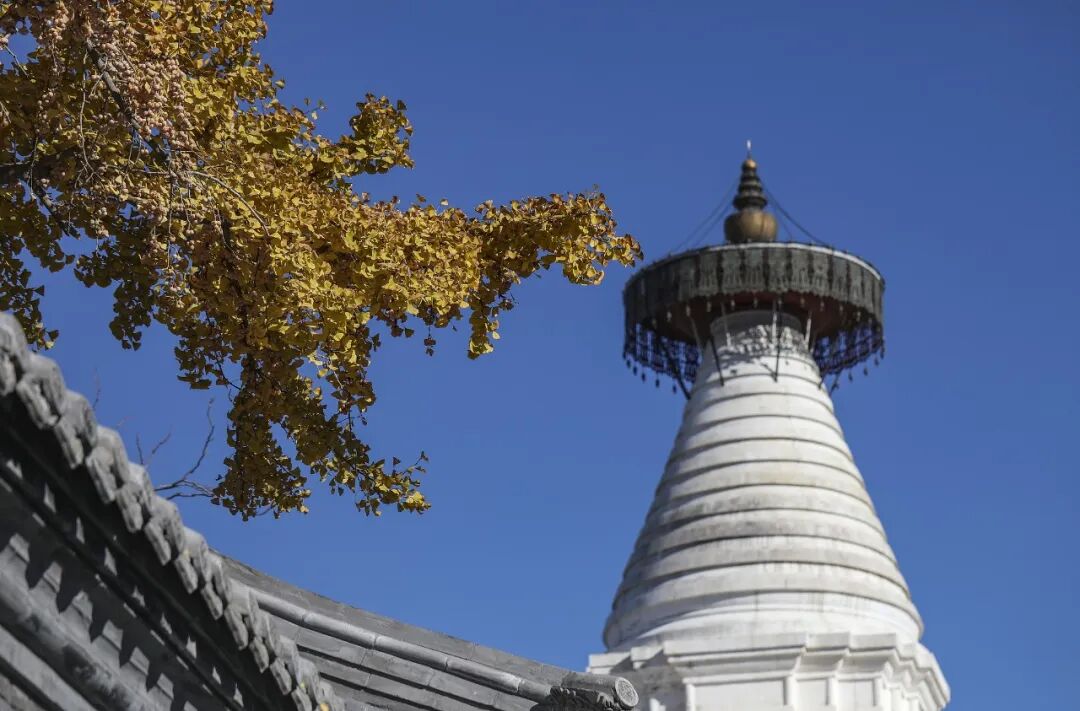White Pagoda of Miaoying Temple.jpg