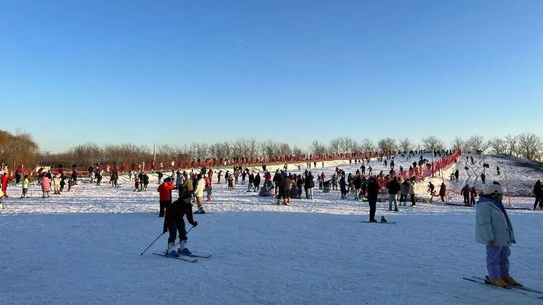 图片8.png 图片8.png