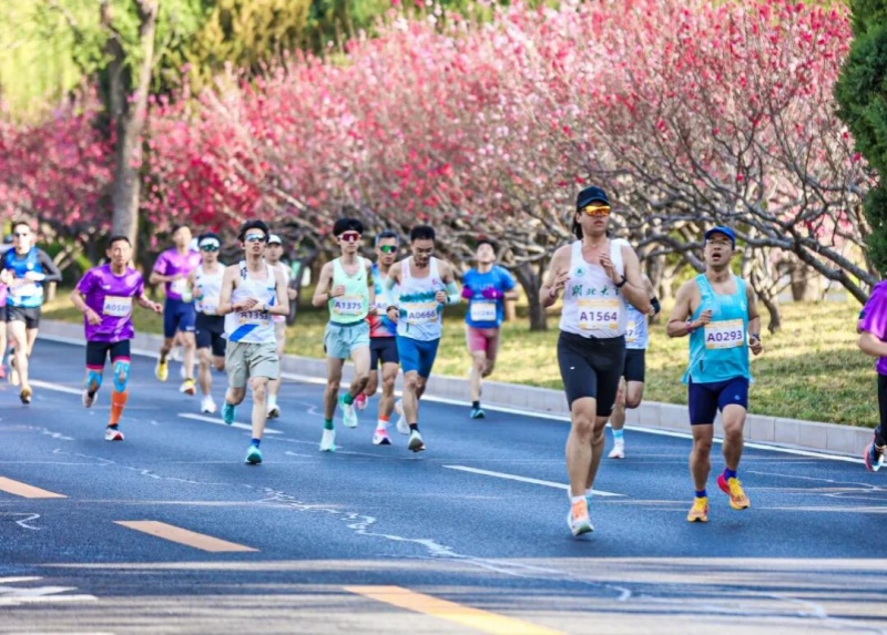 内容页 来源：北京海淀.jpg
