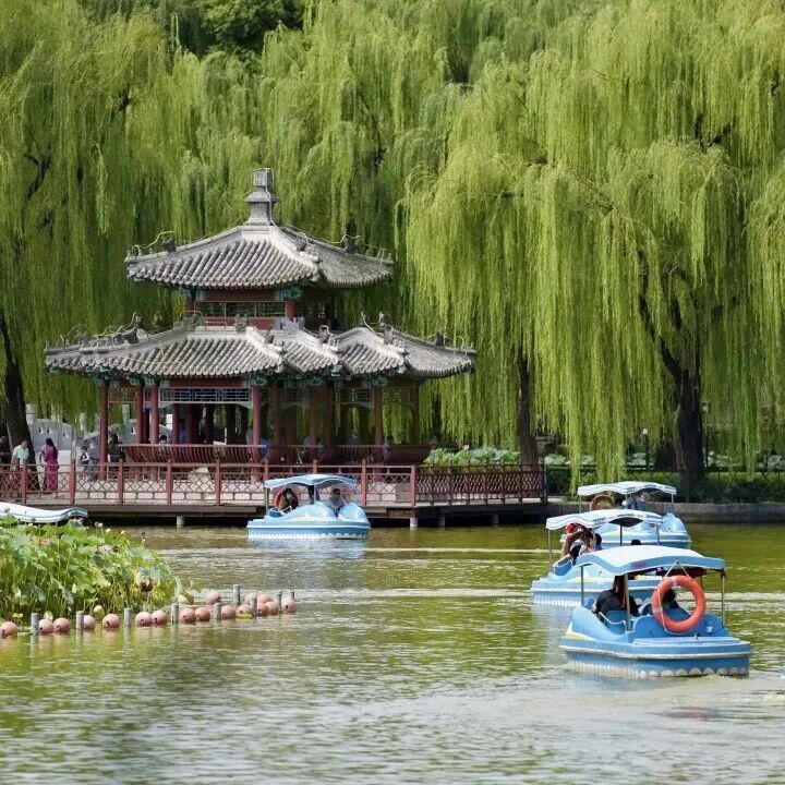 taoranting.jpg taoranting.jpg