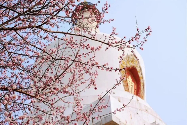 图片.png 图片.png