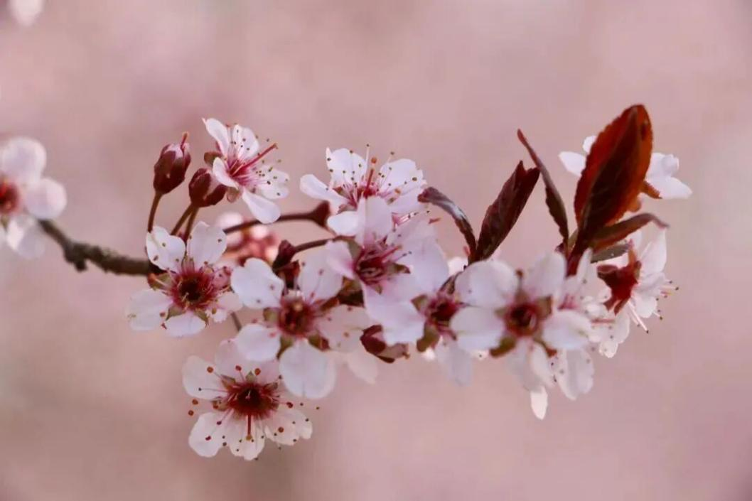 图片4.png 图片4.png