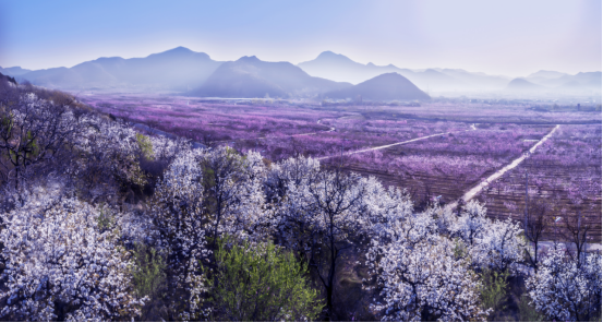 图片10.png 图片10.png