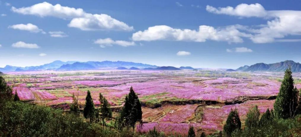 图片12.png 图片12.png