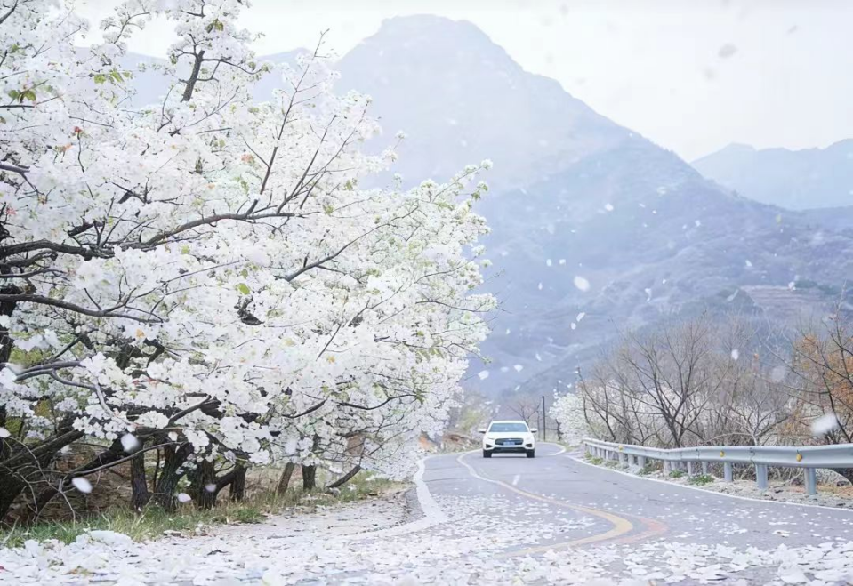 图片17.png 图片17.png