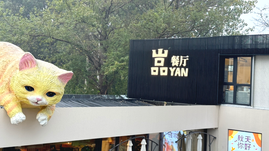 YAN.png