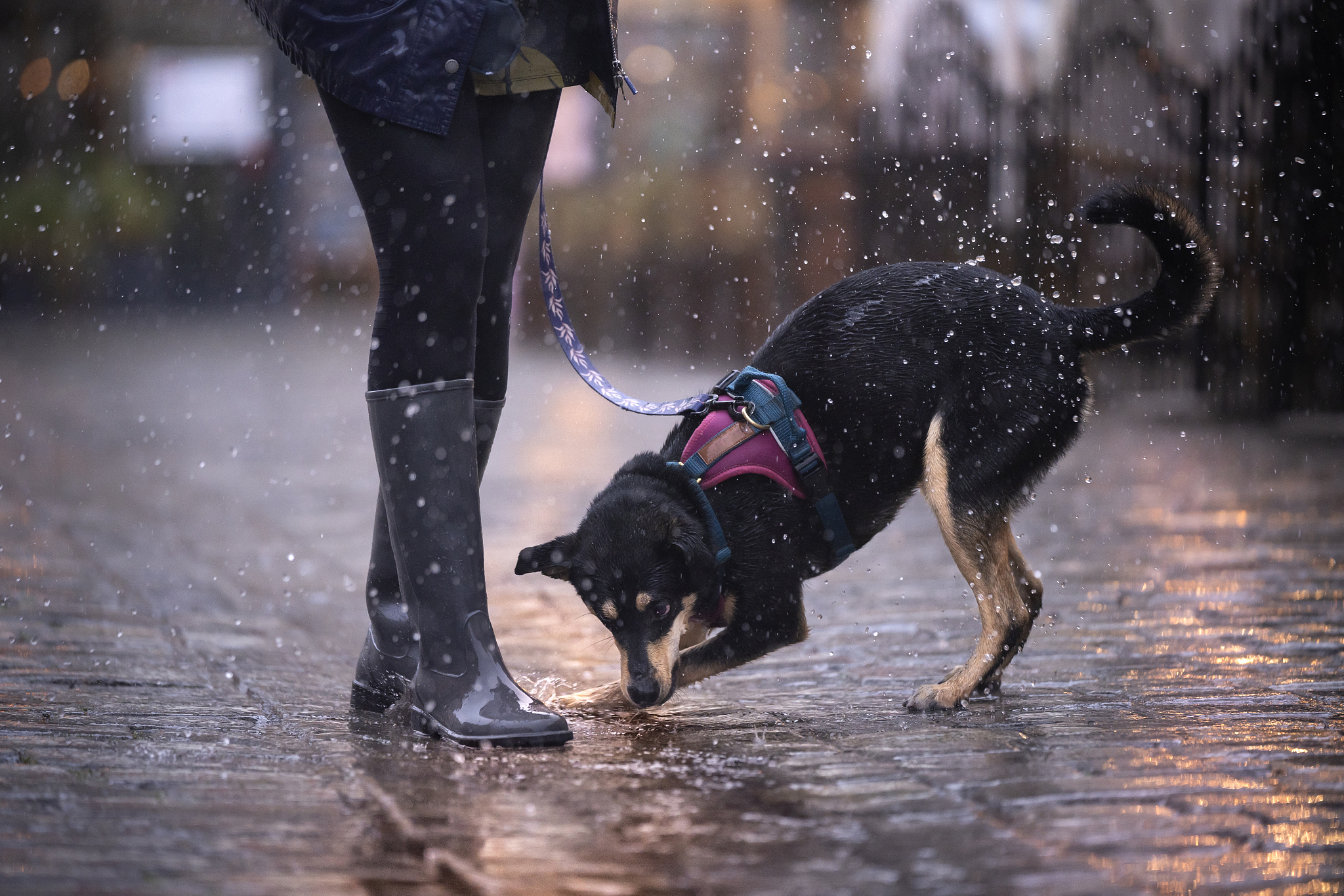 下雨.jpg 下雨.jpg