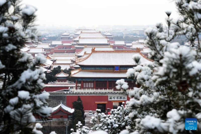 图片9.png 图片9.png