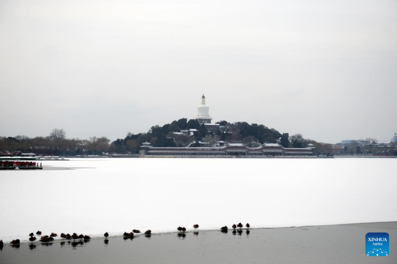 图片11.png 图片11.png