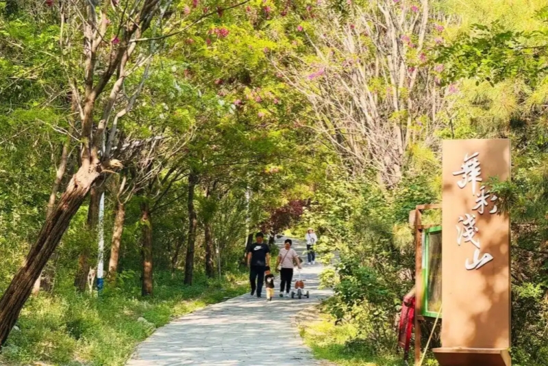 25. 舞彩浅山 木林段 :北京日报 800.jpg 25. 舞彩浅山 木林段 :北京日报 800.jpg