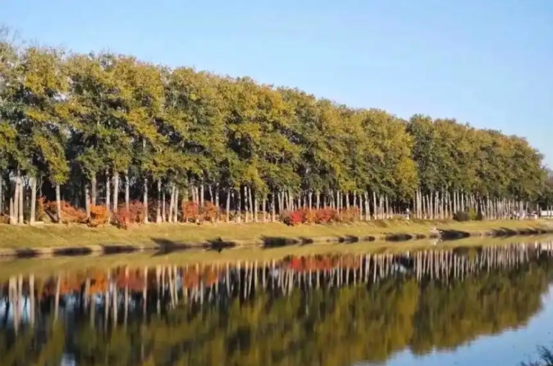 31.运潮减河 北京晚报 800.jpg 31.运潮减河 北京晚报 800.jpg