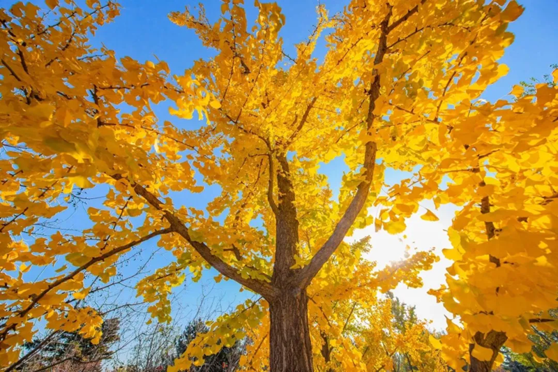 内容6.png
