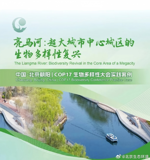 文中图 600.png 文中图 600.png