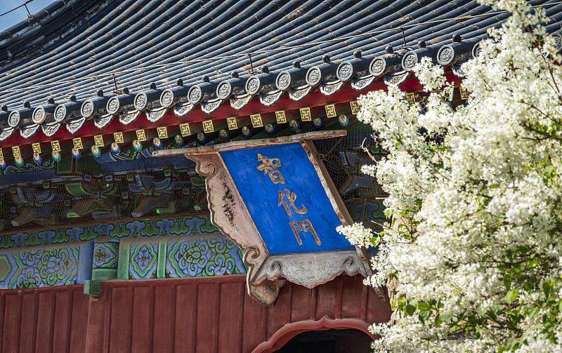 4智化寺 VCG 原图.jpg