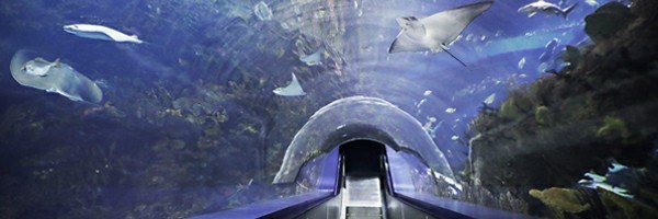 北京海洋馆.jpg