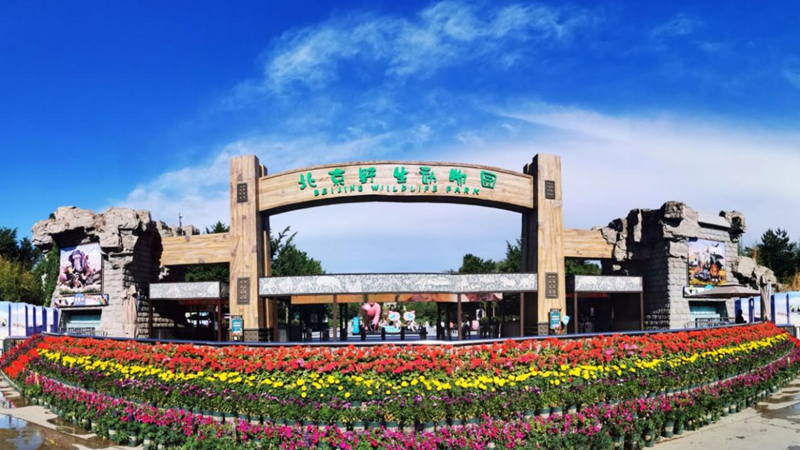 北京野生动物园1.png