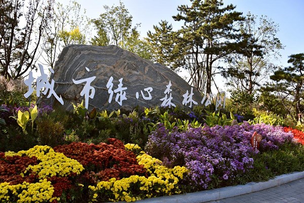 3.城市绿心森林公园 600.jpg