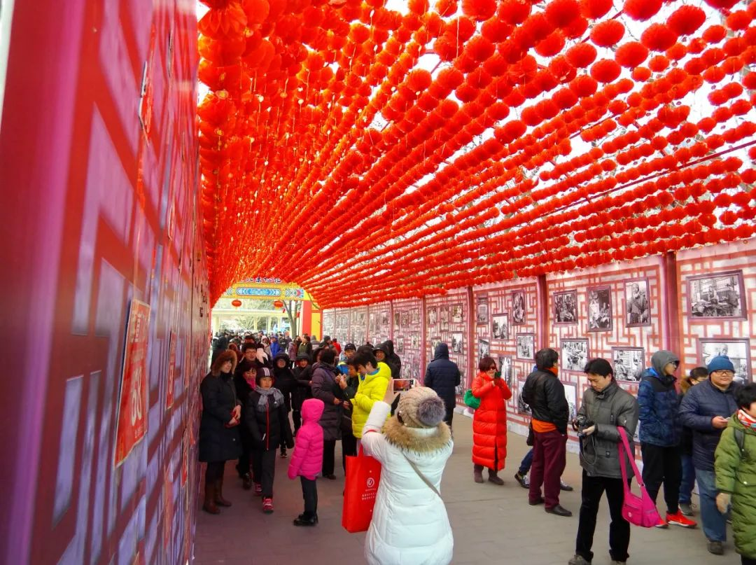 How to Enjoy Spring Festival of Year of Dragon in Shijingshan