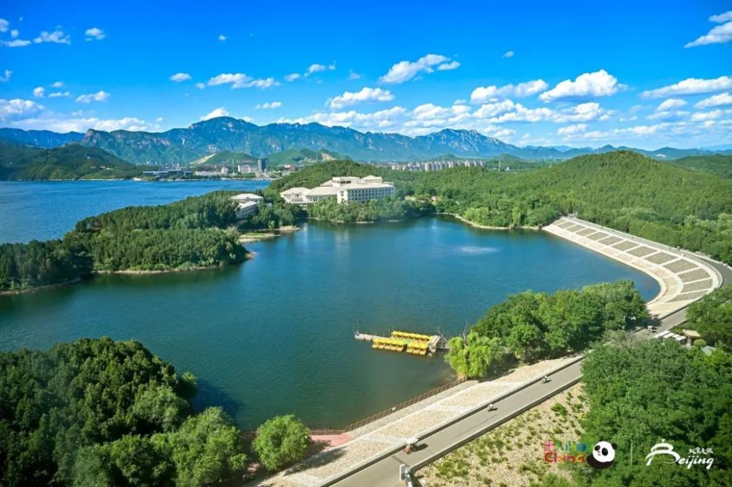 图片8.png 图片8.png