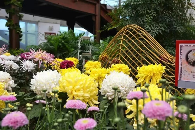 1 来源:北京日报.jpg 1 来源:北京日报.jpg