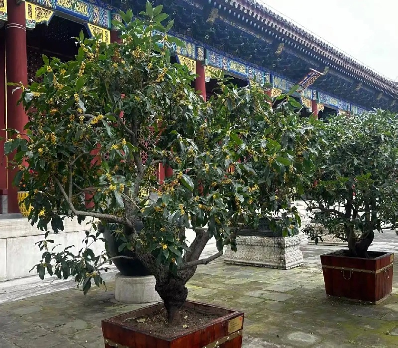 图片来源：北京日报客户端.jpg