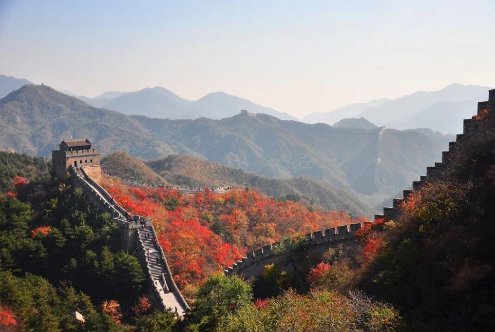 图片9.png 图片9.png