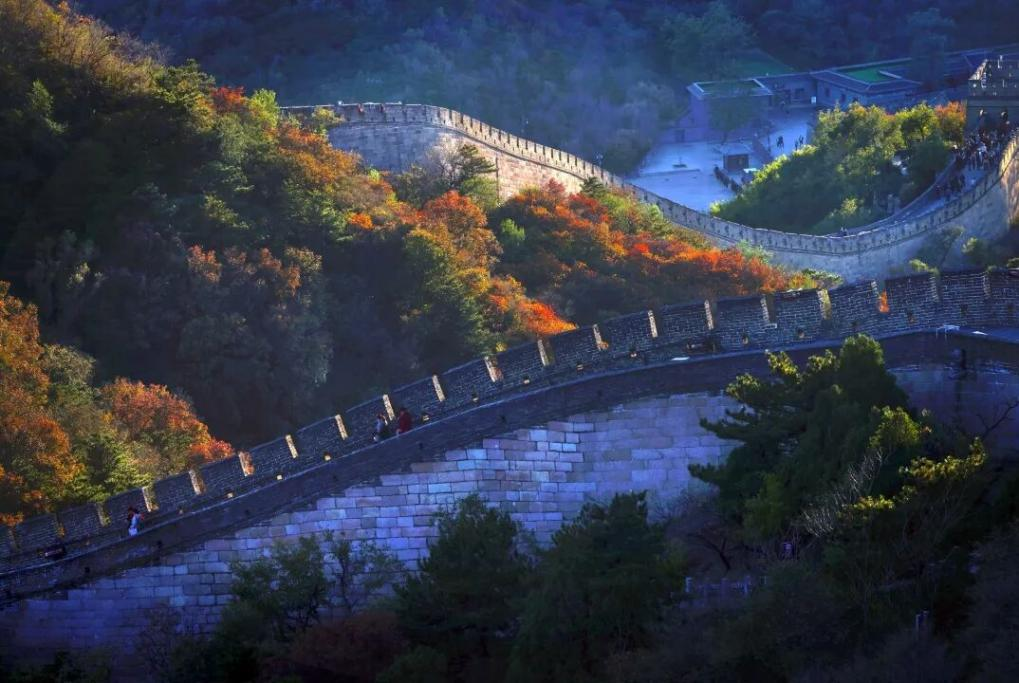 图片10.png 图片10.png