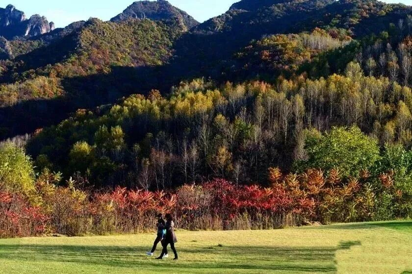 图片2.png 图片2.png