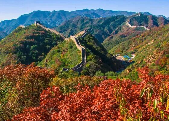 图片5.png 图片5.png