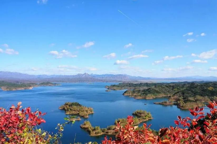 图片14.png 图片14.png