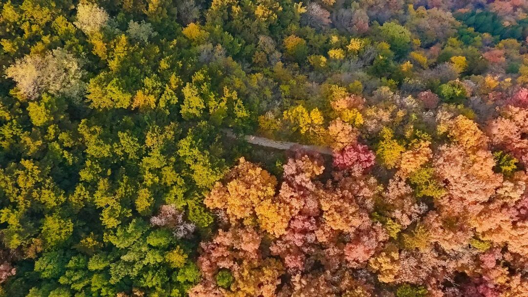 Jiufeng National Forest Park.jpg